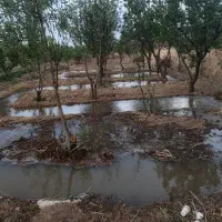 باغچه-700-متری-ماهدشت-چسب-بافت-آب-فراوان