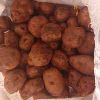 سیب زمینی خوراکی