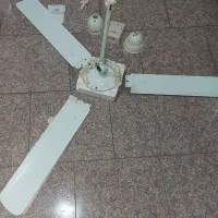 پنکه سقفی برقی SMC