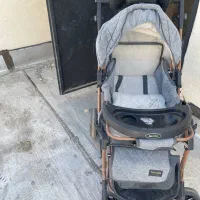 کالسکه دلیجان