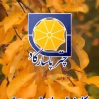 فرصت شغلی ویژه نمایندگی بیمه پاسارگاد