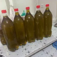 روغن زیتون