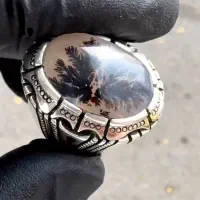 شجر|جواهرات|اهر, |دیوار