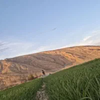 اجاره زمین کشاورزی ۹ هکتار تضمینی به شرط