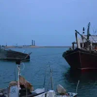 نیروی خدماتی روزانه خانم