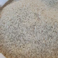 برنج هاشمی مغان و دره رود|خوردنی و آشامیدنی|اهر, |دیوار