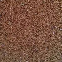بذریونجه مگرک