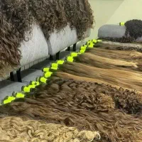 بـانـوان