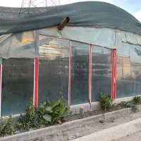 گلخانه|اجارهٔ دفتر صنعتی، کشاورزی، تجاری|تهران, سازمان آب|دیوار