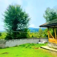 خانه کلنگی ۵۴۵ متر جنگلی مدارک کامل آسفالت|فروش زمین و ملک کلنگی|فومن, |دیوار