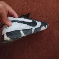 کفش سالنی اصل|کیف، کفش، کمربند|سبزوار, توحیدشهر|دیوار