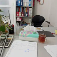 منشی خانم