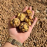 گردو درجه یک صادراتی تویسرکان به صورت جزئی و کلی
