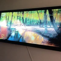 تابلو زیبا (چراغ دار) در حد نو