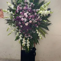 تاج گل طبیعی|گل و گیاه طبیعی|مشهد, کوی المهدی|دیوار