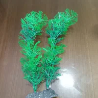 گیاه آکواریومی|ماهی|مشکیندشت, |دیوار