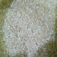 برنج نیمدانه