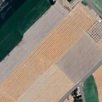 اجاره ۷ هکتار زمین کشاورزی برای صیفی