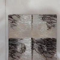 ظروف پذیرایی