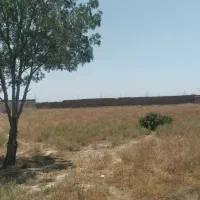 100-متر-زمین-داخل-شهر-آباد