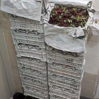 سرکه سیب اعلا و چای کوهی و ترشک  آلبالوی کوهی|حراج|آبعلی, |دیوار