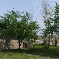 ۲۸۰۰متر زمین در گیلان|فروش زمین و ملک کلنگی|شفت, |دیوار
