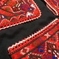 کریشی با بهترین قیمت و کیفیت