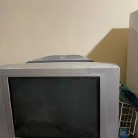 تلوزیون
