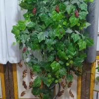 گل مصنوعی|گل مصنوعی|زابل, |دیوار