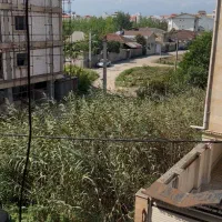 پیش فروش