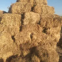 فروش پرس علف