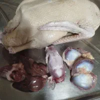 محصولات محلی