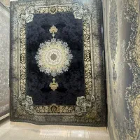 فرش  قالی مرینوس|فرش|شیراز, میانرود|دیوار