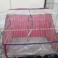 قفس و باکس|لوازم جانبی حیوانات|تربت‌حیدریه, حسنی بالا|دیوار