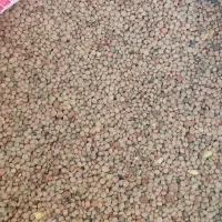 هشت گونی عدس کردی برای فروش