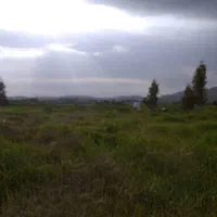 فروش زمین ۱۰۰۰ متری در روستای تربر جعفری|فروش زمین و ملک کلنگی|شیراز, داریون|دیوار