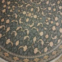 نو نو ب دلیل کوچک بودن