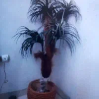 لوازم آشپزخانه|مبلمان خانگی و میز عسلی|شیراز, ارم|دیوار