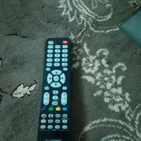 تلویزیون ال ای دی|تلویزیون و پروژکتور|تربت‌حیدریه, منظر|دیوار