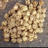 گردو کاغذی اعلا ایرانی درجه یک به صورت عمده و خرده|عمده‌فروشی|خمینی‌شهر, |دیوار