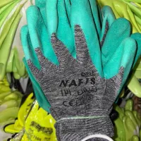 دستکش کار و استاد کار و ماسک