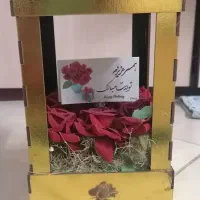 گل زیبا