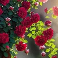 مشاغل آرایشگری