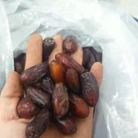 خرما پیارم خرما خشکبار|حراج|یزد, |دیوار