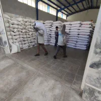 لوبیا چیتی ازبک درجه یک وارداتی عمده