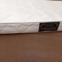 تشک نوجوان
