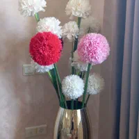 گل و گلدان طبیعی