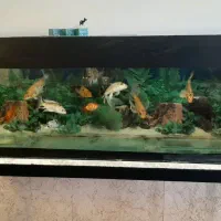 آکواریوم ۳۰۰ لیتری