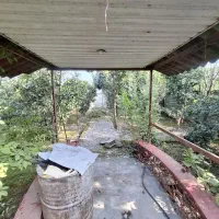 خونه باغ455متری باسندتکبرگ وشاهنشین فریدونکنار|فروش خانه و ویلا|آستانه سرا, |دیوار