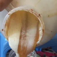 فروش عسل کنار درجه ۱ به شرط آزمایش|عمدهفروشی|میمند, |دیوار